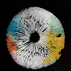 Close-up view of a multi colored mushroom spore print on black paper.